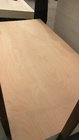 Cheap price High Quality Okoume/ Bingtago/Poplar/Birch Commercial Plywood