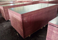 Greentrend  China film faced plywood anti slip phenolic plywood