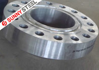 Chrome Moly Alloy Pipe Flanges