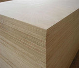 wholesale Okoume/Bintangor/Poplar/Birch Commercial Plywood