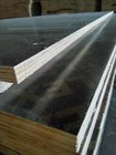 18mm Film Faced Plywood with Two Times Hotpress from China
