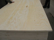 pine core pine Plywood