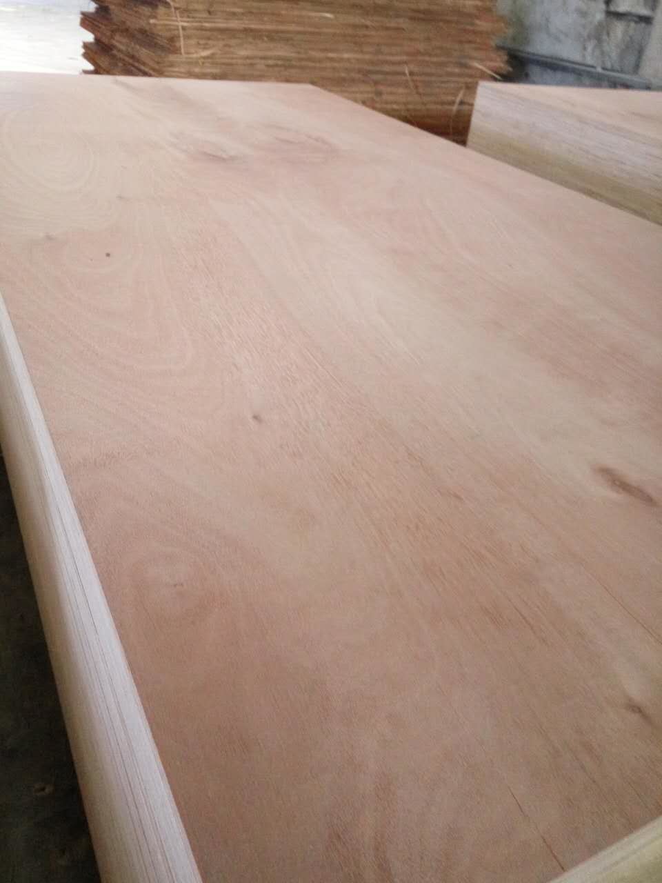 Plywood Prices /Plywood Sheet /Waterproof Plywood for Furniture, Packing and Pallets