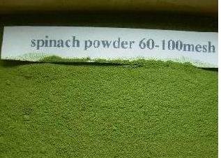 Quality 100% Pure  Spinach Powder Green Food Nutrtional add-in Vegetable China Expo