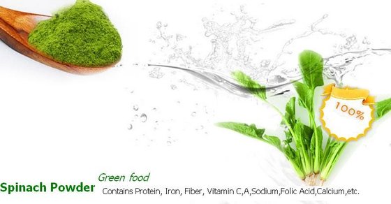 Vegetable Powder Spinach Powder Quality Test Certification Provided