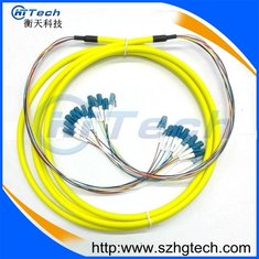 China LC/LC 12Core Fiber Optic Cable, OS1,OS2,OM3 Fiber Optic Patch Cord supplier