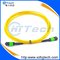 MPO Patch Cord Singlemode/Multimode supplier