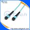 MPO Patch Cord Singlemode/Multimode supplier