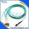 OM3 12Core MPO Fiber Patch Cord supplier
