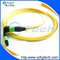 Singlemode 12Core MPO/MTP Fiber Optic Patch Cord Yellow Jacket supplier