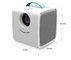 mini LCD handheld projector home cinema kids story projector TY013 supplier