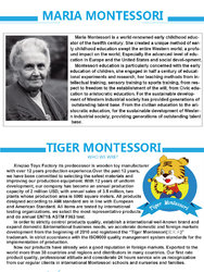 Tiger Montessori ( Yunhe Xinqiao Toys Factory )