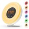 Wake Up Light Digital Alarm Clock Sunrise Simulation 7 Colors LED Night Lights 6 Nature Sounds with FM Radio Snooze Mode