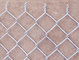 High Zinc Coated 275g / SQM Galvanized Chain Link Fencing 50mm for Residential