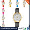 Wholesale Plastic watch band  Alloy Round Case Ladies Quartz Watches fashion watch Multicolor watches supplier