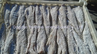Dry salted pollock fillets 48-52% skinless PBO 2x5kg/ctn