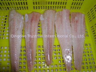 Frozen hake fillets IQF skinless PBO 10kg/ctn