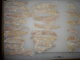 Dry salted China local Pacific cod migas 48-52% skinless PBO 2x5kg/ctn