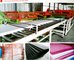 Hot sale  EPE Foam Board Production Line high output good flatness  fine cellsize agent price supplier
