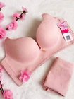 Extremely soft Jacquard embroider fabric push up bra of woman underware