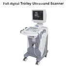 China Diagnosis Trolley Ultrasound Scanner  Black and White Ultrasound System Medical Equipment