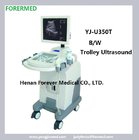 Pregnant  Ultrasound Scanner for Woman with baby