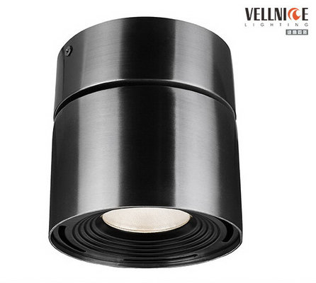 China 6W Ceiling Mount Outdoor Light Built - In Driver  for Holiday Village / Pavilion  Dia.100 * 114mm supplier