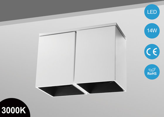 China 2*10Watt Aluminum Outdoor LED Flush Mount Ceiling light For Bathroom supplier
