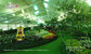 Luxurious Aluminum Structure Frame Customized Color Flower Show Tent Tent supplier