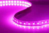 Hot Sale ! 5M/lot IP20 nonwaterproof 3528 600 LED Strip Light Ribbon Tape 120led/m WarmWhite ColdWhite Blue Green Red LE
