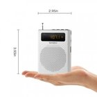 New Arrival S268 Waistband Portable Voice Amplifier with FM Radio and LED display