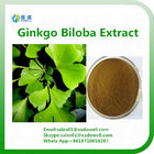 Healthcare Supplement Ginkgo Biloba Extract CAS：15291-75-5