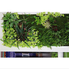 Artificial Plastic Grass Wall/Green Plant Wall