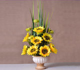 Potted Sunflower Arrangement for Sale