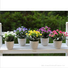 Hot sell cute potted artificial plants
