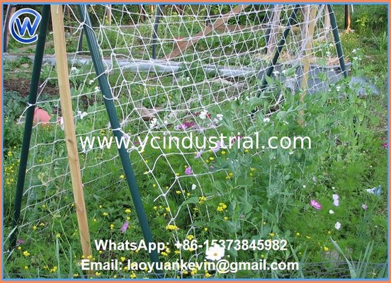 1.8x18m 24x24cm mesh size white cucumber yam support plant trellis net vegetable support net