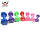 High Quality Hexagon Ends Vinyl Dipping Dumbbell