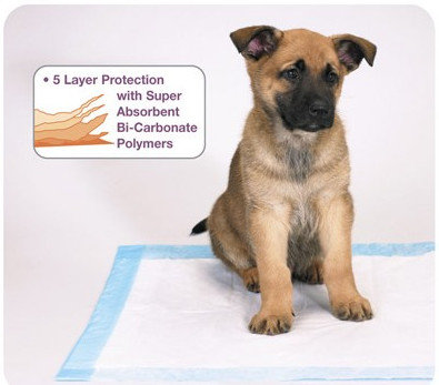 China Nonwovens for Pet Pads supplier