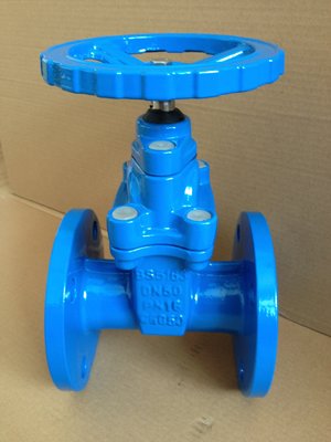 China (BS) Cast Iron Resilient Gate Valve nor-rising stem Flanged Ends supplier