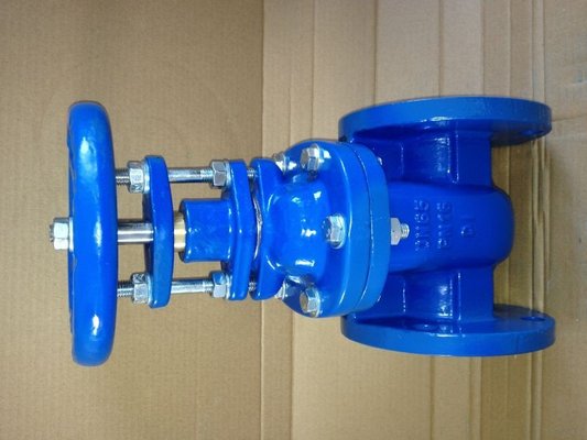 China (BS) Cast Iron Gate Valve Flanged Ends PN25 supplier