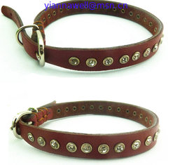 China Dog Collars supplier