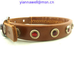 China Diamond Dog Neck Belts / Collars / Straps, dog collar supplier