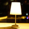 2018 hottest table lamp with both touching control and remote control, smart night light with soft led light supplier