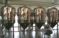beer equipment, fermenters, brewery equipment for micro brewery and resturant, pub, hotel