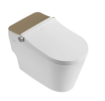 China M10  Automatic intelligent smart toilet white supplier