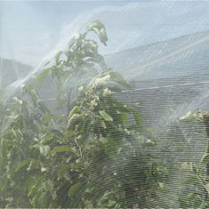 China anti insect netting, rede anti-insetos manufacturer supplier
