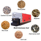 Factory Price Industrial Large Wood Chip Biomass Steam Boiler For Food Factory supplier