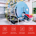 WNS 10 Ton 10tph Gas Diesel Fuel Steam Boiler For Beverage Factory supplier