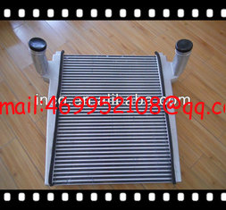 China DONGFENG TRUCK SPARE PARTS,INTERCOOLER,1119010-TY100,Dongfeng Parts supplier