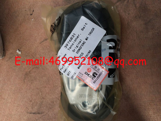 High Quality Cummins Diesel Engine 6CT Belt Tensioner Pulley 3976831 supplier